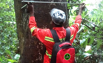 atozwoodcompany timber moulding services