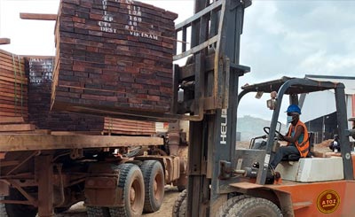 Container Handling/ Forwarding Services