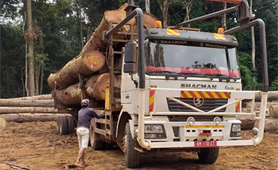 wood transportation services