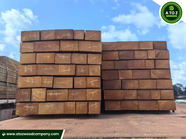 bilinga timber for sale