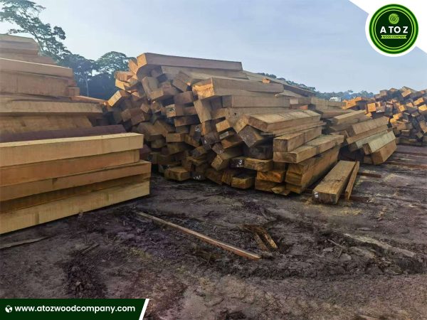 bilinga timber supplier