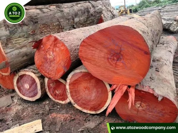 padauk wood logs for sale