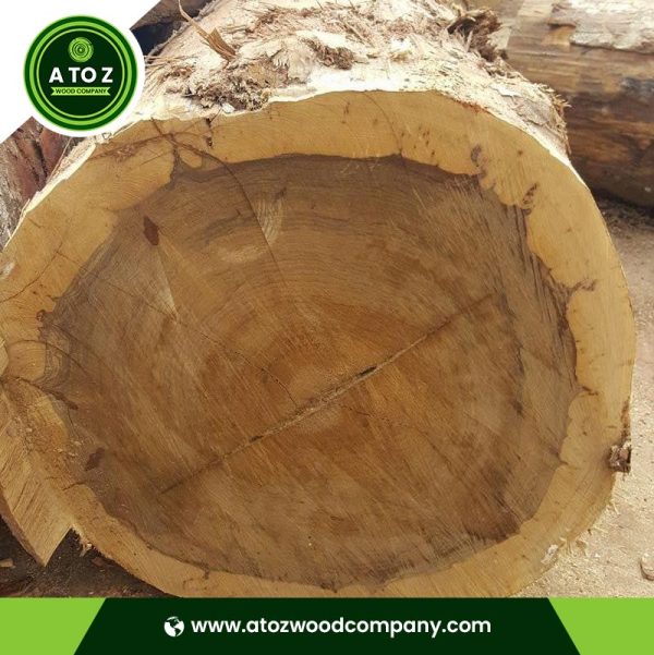 black limba wood logs