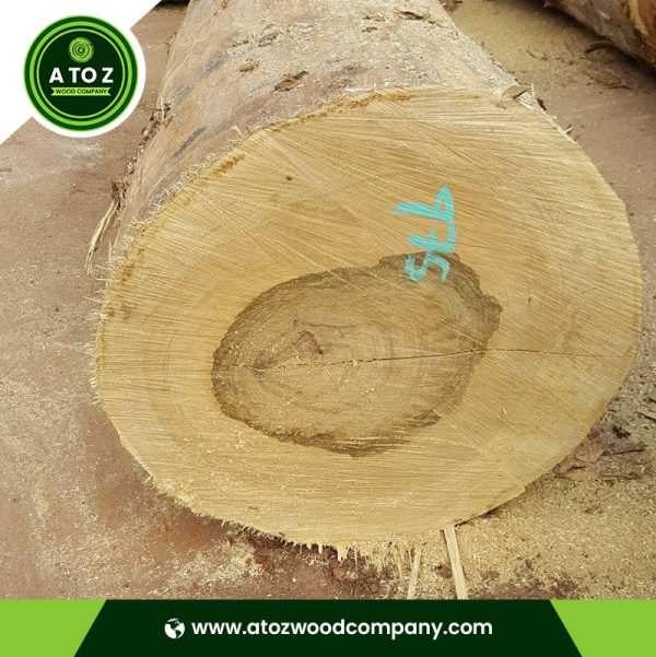 black limba wood log