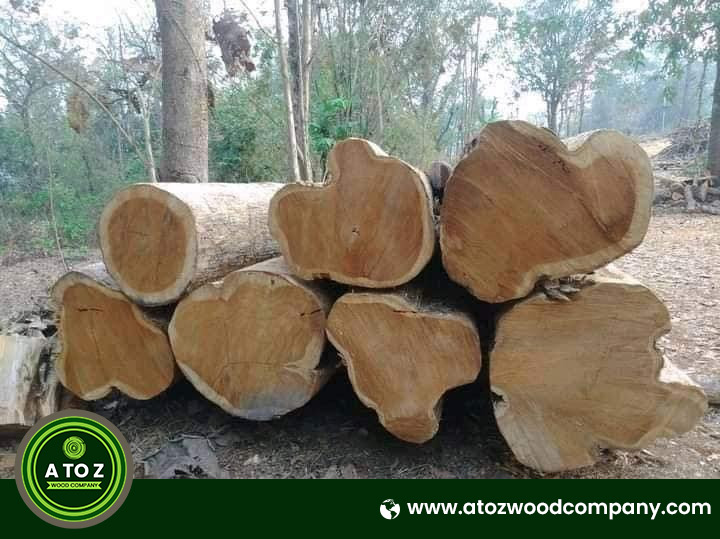 teak wood logs