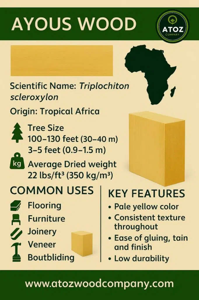ayous wood features, uses and specification