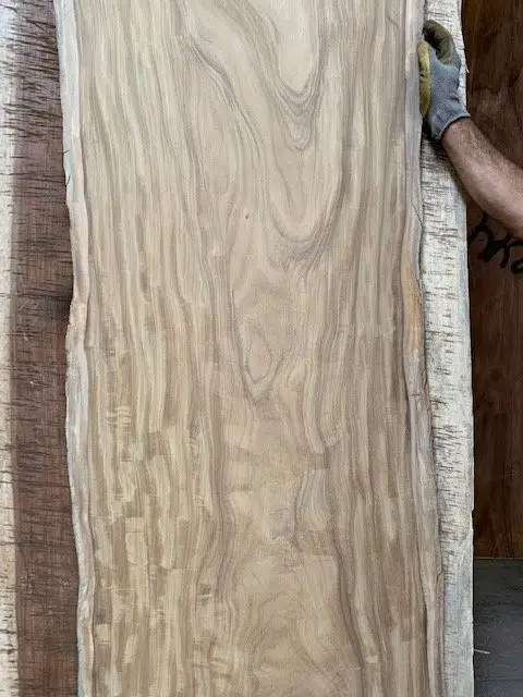 Afromosia Wood Slabs