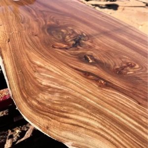 eucalyptus slabs
