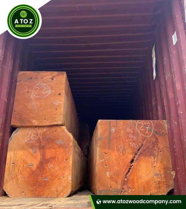 pachyloba wood logs