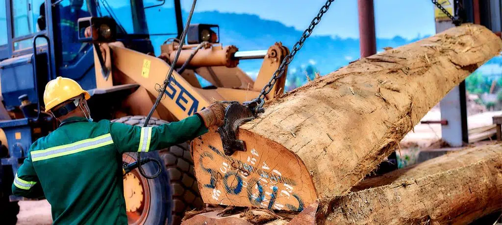 Atoz Woodworkers maintaining highest standards while working with pine wood