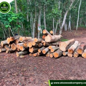 acacia wood logs