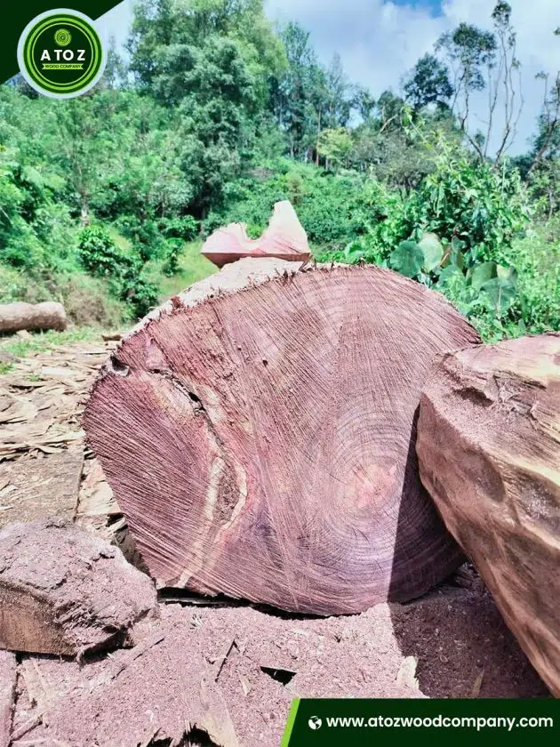 rosewood log
