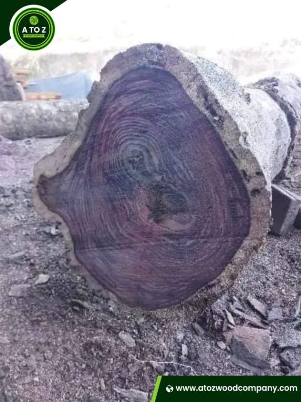 rosewood log supplier