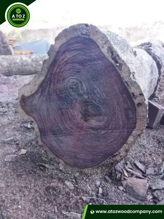 Rosewood-3 rosewood log supplier
