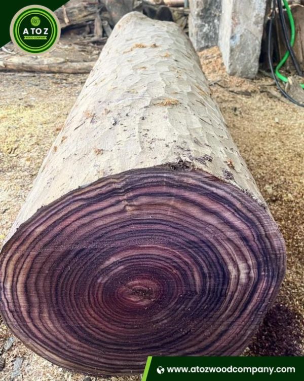 rosewood log for sale