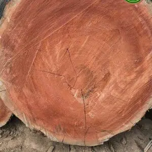 red meranti wood log