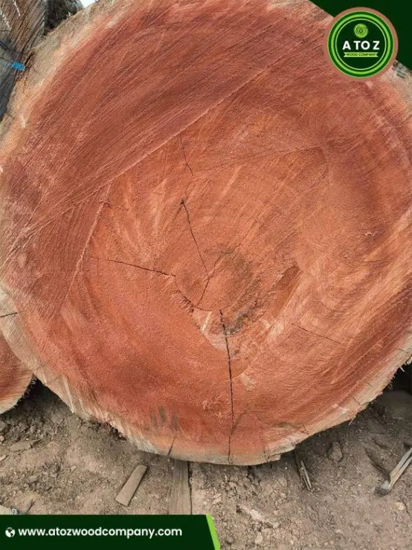 red meranti wood log