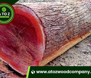 redwood logs for sale