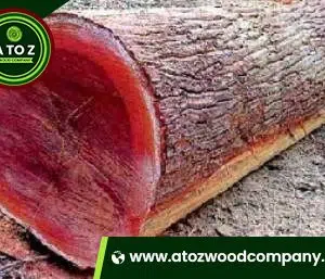 redwood logs for sale
