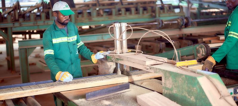 Timber Wood Processing Services