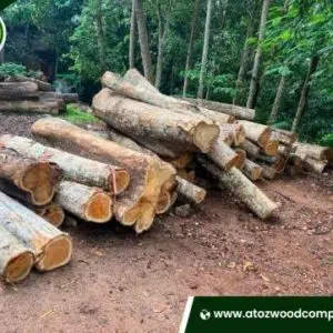 Afromosia Wood