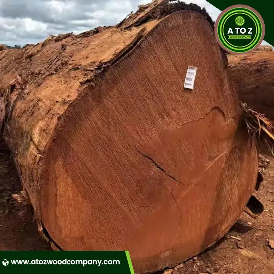 bubinga wood supplier