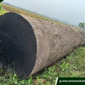 dabema for sale