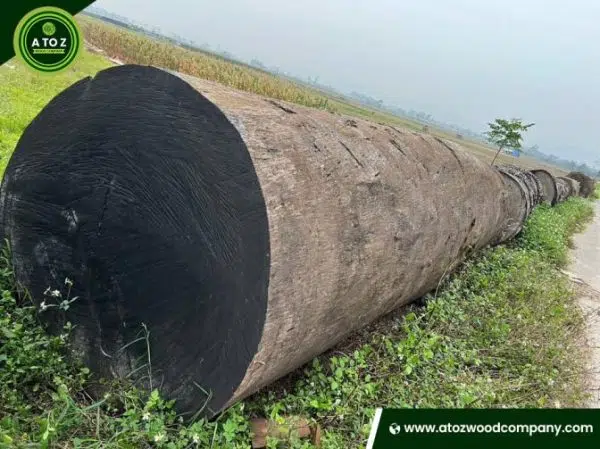 dabema for sale