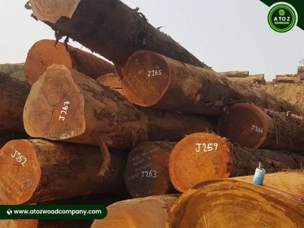 tali wood logs