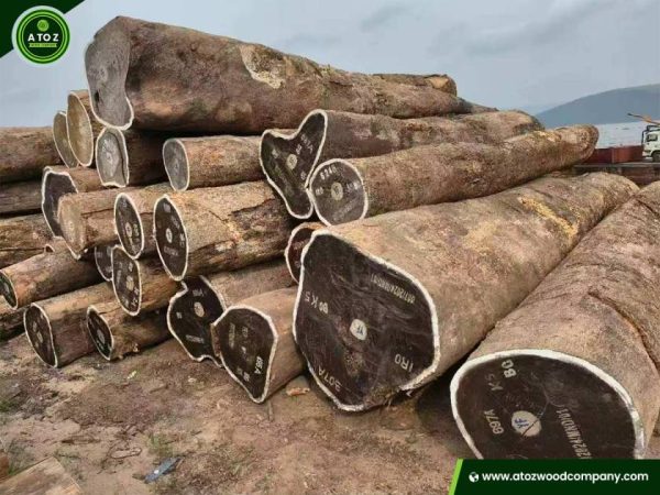 Wenge Wood