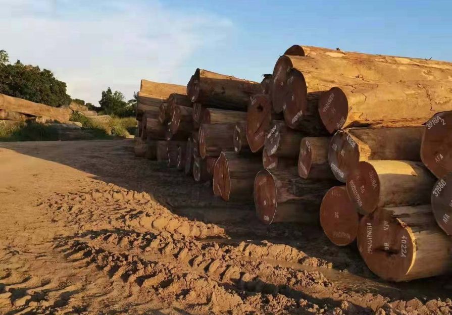 bulk timber supplier