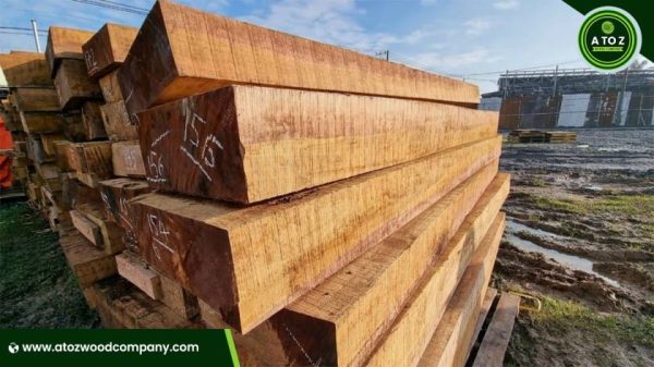Buy Mahogany Wood Logs – Premium Quality for Sale - Image 3