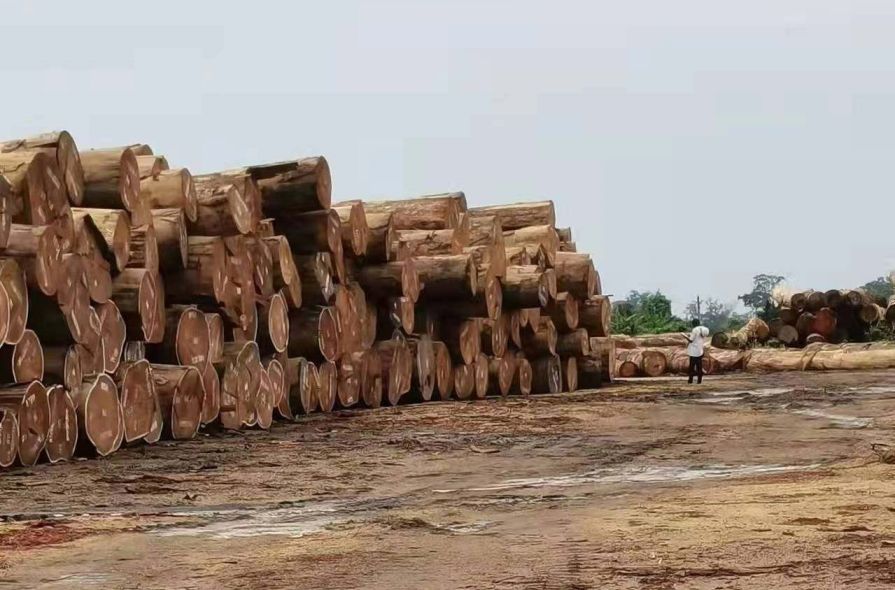 small timber order