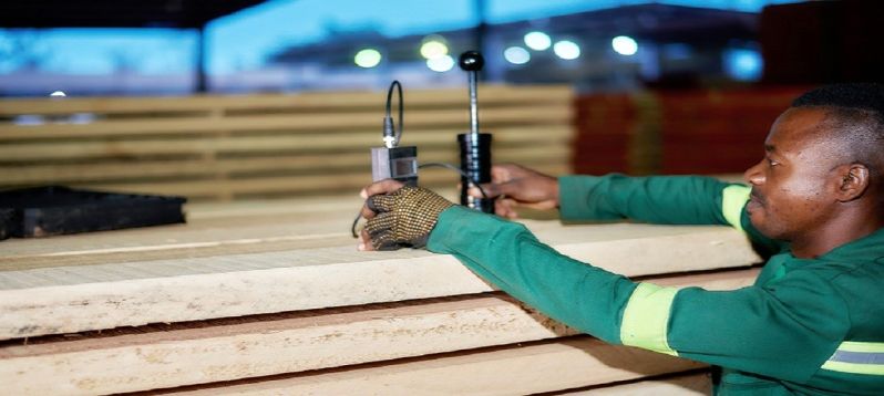 timber grading services
