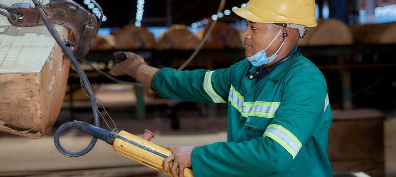 timber treatment services