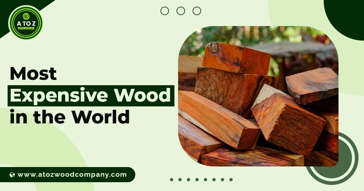 most expensive wood in the world