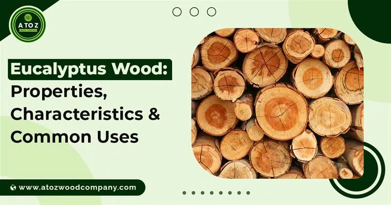 eucalyptus wood properties