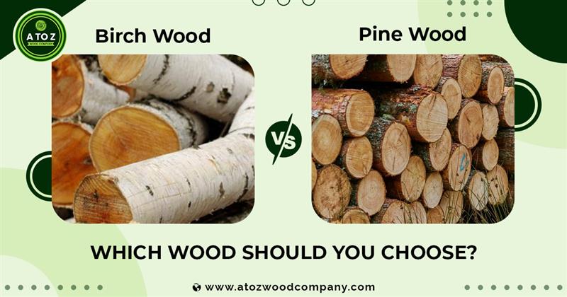 birch vs pine wood differences
