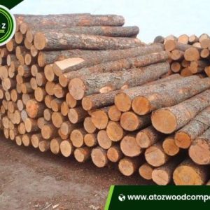 pine logs for sale
