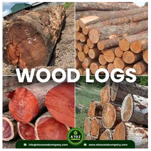 Wood Log
