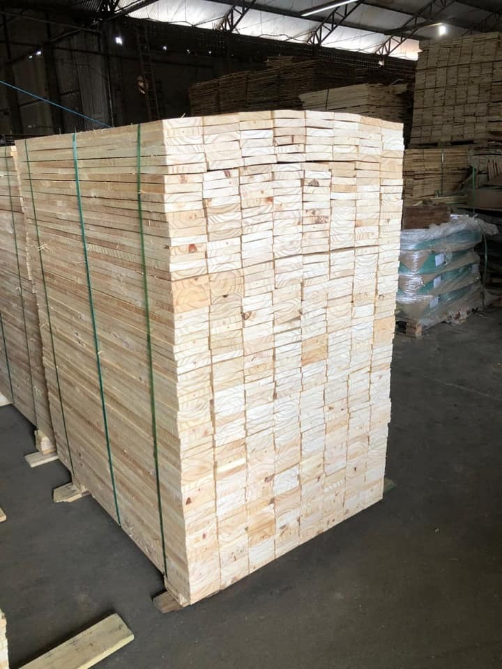 white pine timber sale