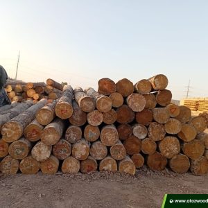 yellow pine logs