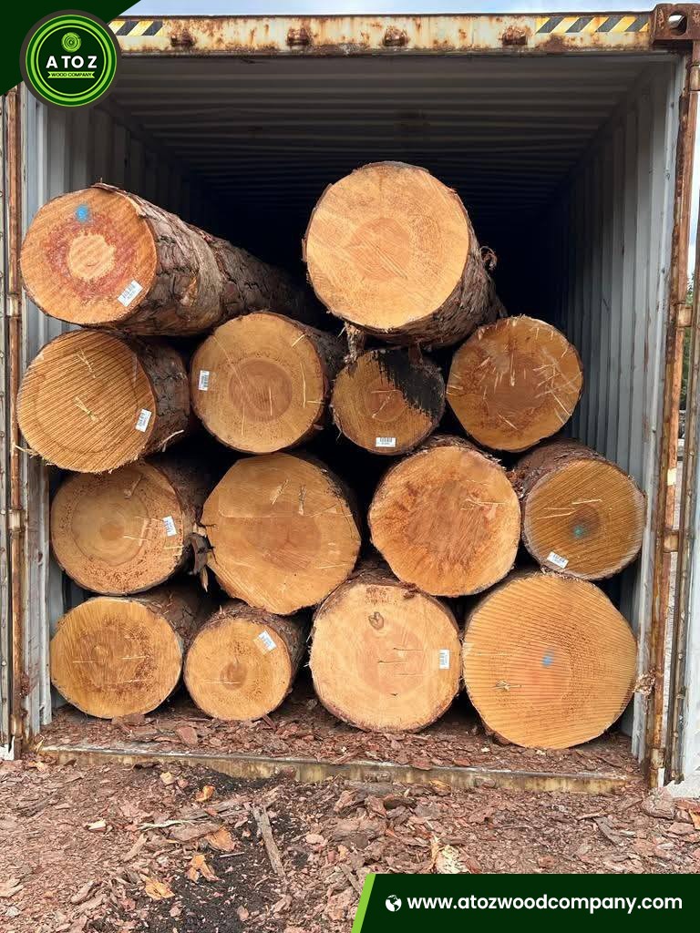 yellow pine logs wholesaler