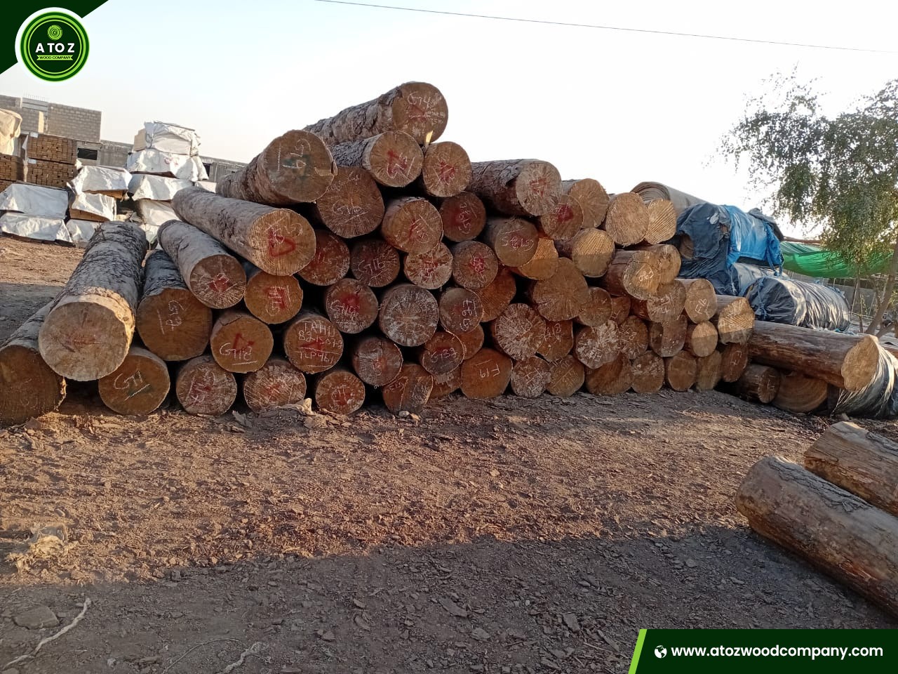 yellow pine logs seller