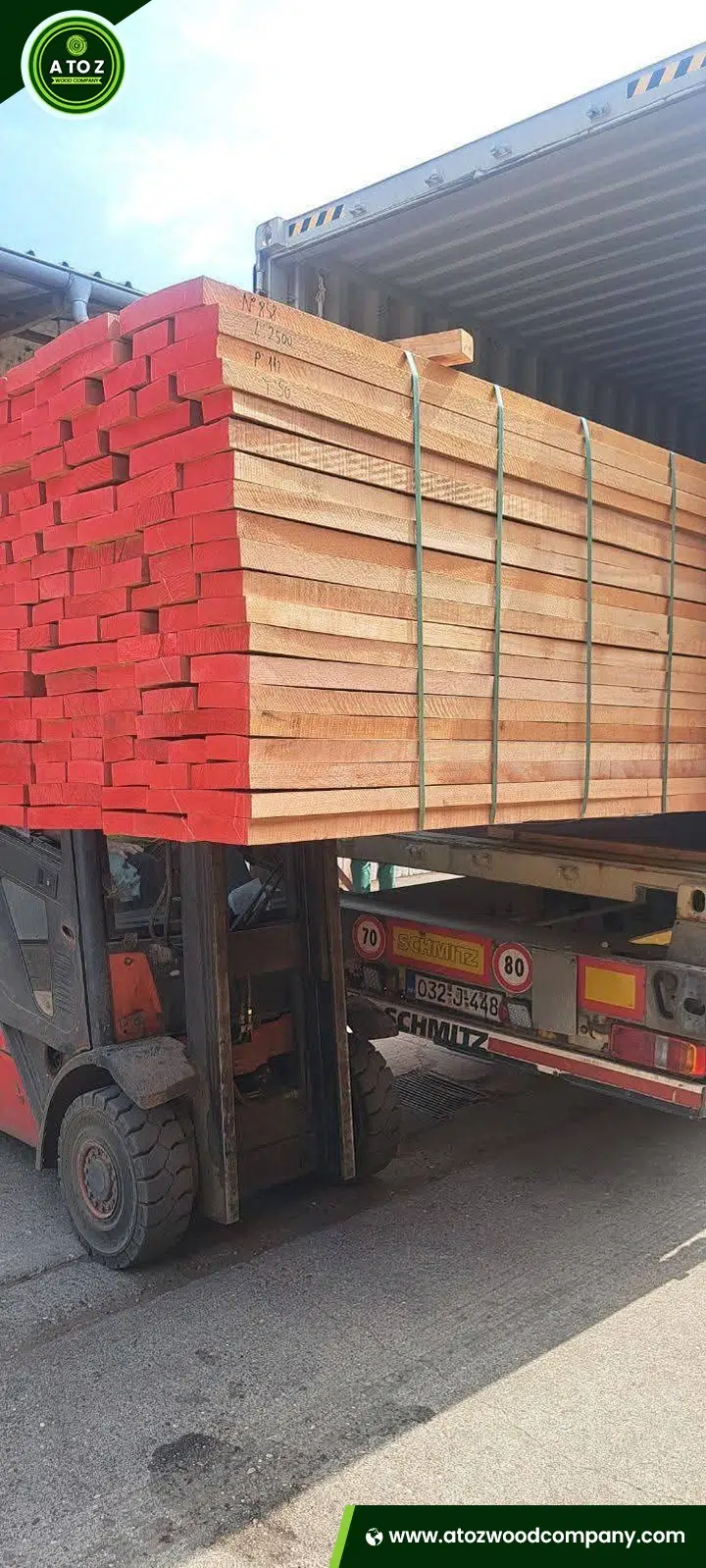 Beech-Timber-5 beech wood supplier